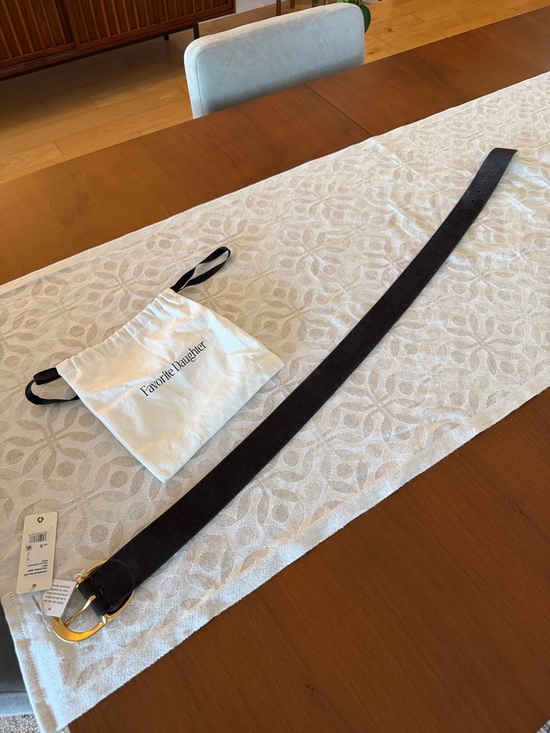 Favorite Daughter Accessories - Favorite Daughter Dark Brown Suede Belt with Gold Buckle Size Small